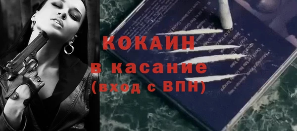 индика Беломорск