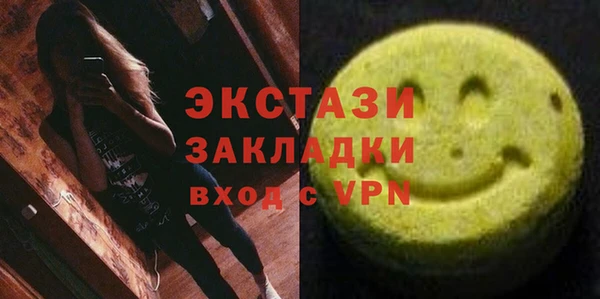 индика Беломорск