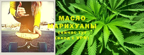индика Беломорск