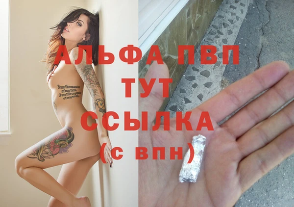 соль ск Пестово