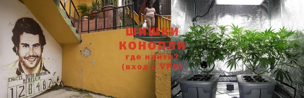 индика Беломорск