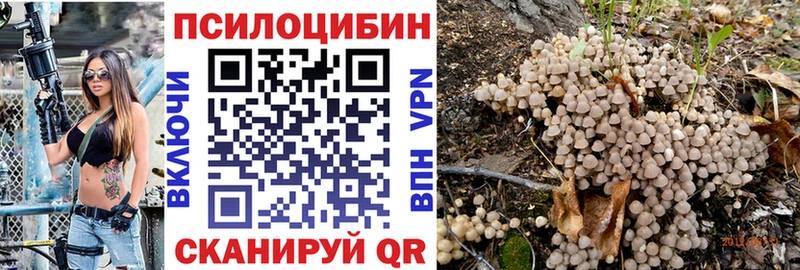 Псилоцибиновые грибы ЛСД  Боготол 